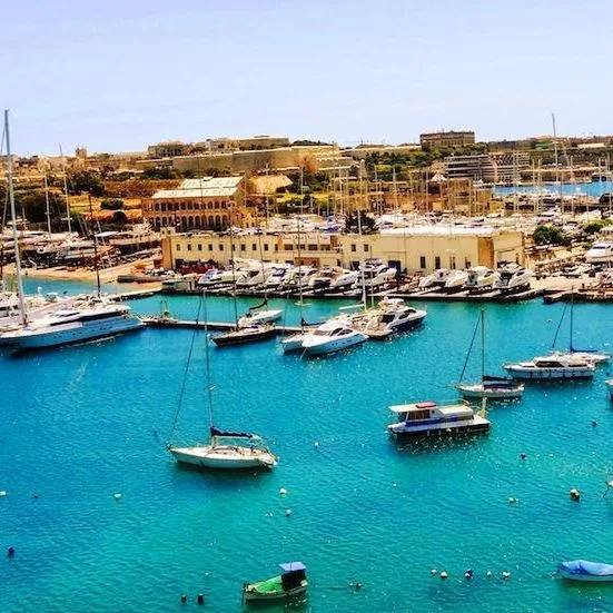 Kennedy Nova - zdjęcie 2