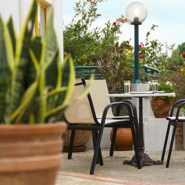 Lycasti - zdjęcie 2