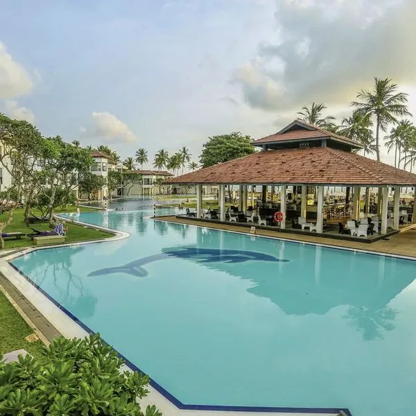 Club Dolphin - zdjęcie 2