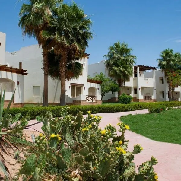 Amphoras Aqua - zdjęcie 4