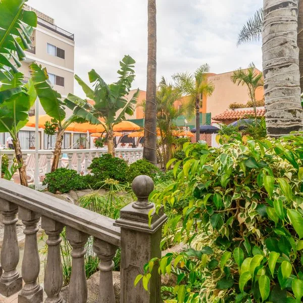 Don Manolito - zdjęcie 2