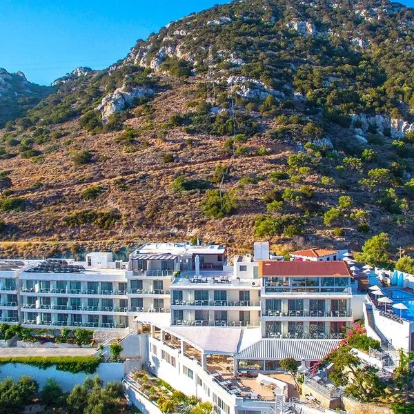 Mistral Mare - zdjęcie 2