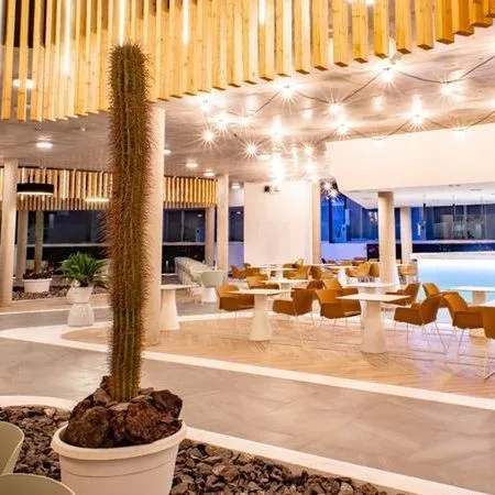 COOEE Taimar - zdjęcie 5