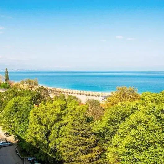 Gladiola Star - zdjęcie 5