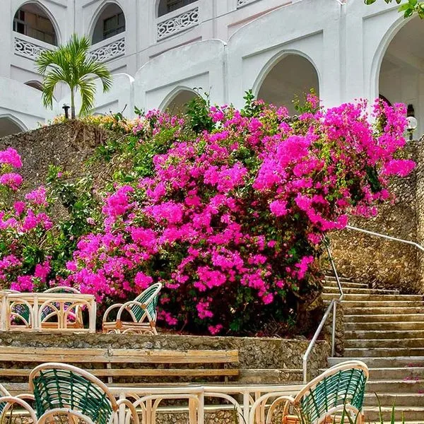 Kaskazi Beach - zdjęcie 5