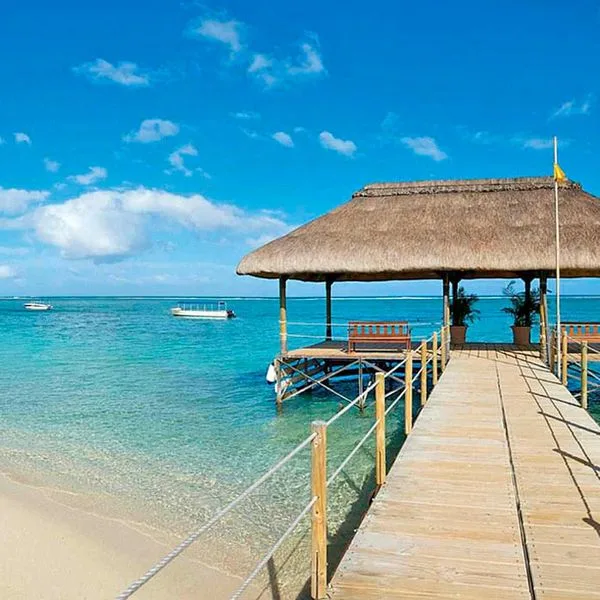 La Pirogue - zdjęcie 3