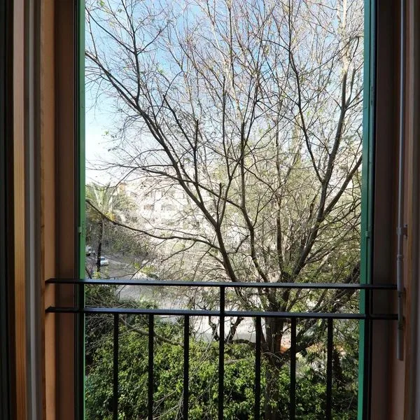 Art Palma - zdjęcie 2