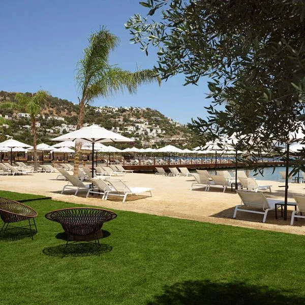 Caja by Maxx Royal - zdjęcie 4