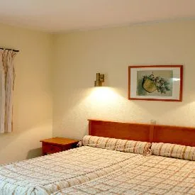 Mirachoro I - zdjęcie 5