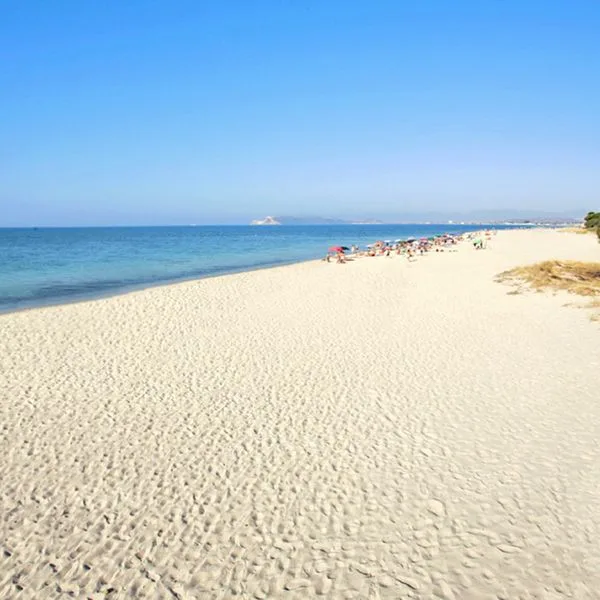 Califfo - zdjęcie 2