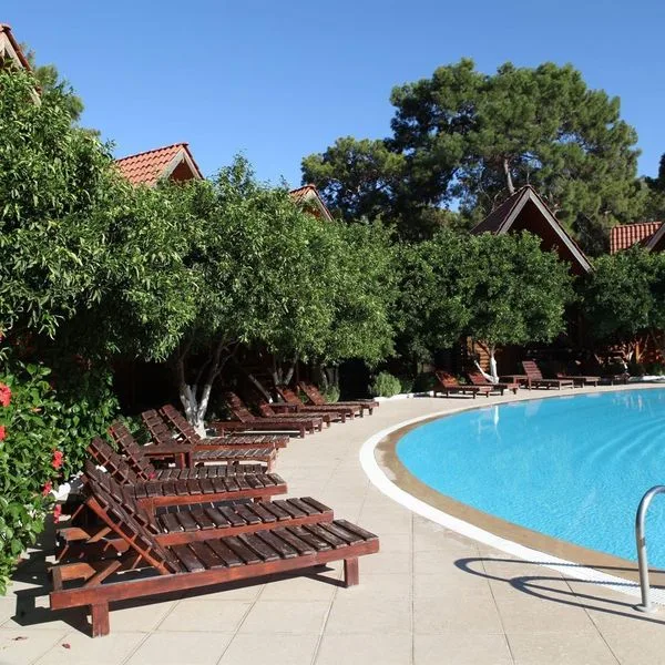 Woodline - zdjęcie 5