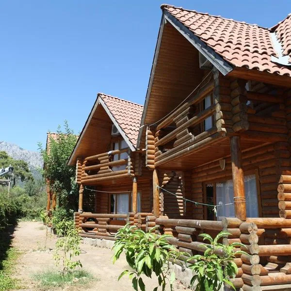 Woodline - zdjęcie 4