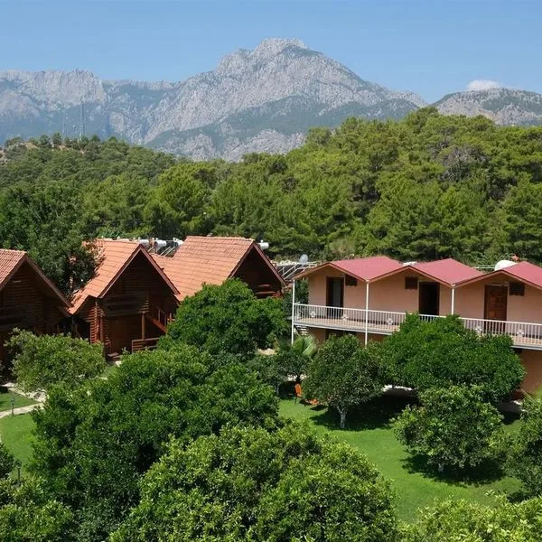 Woodline - zdjęcie 3