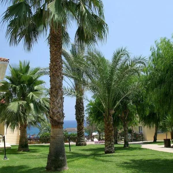 Malama Beach Holiday Village - zdjęcie 2