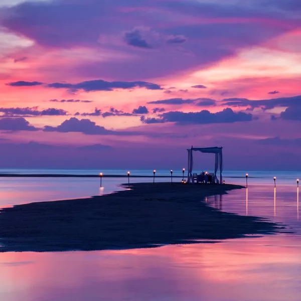 The Sarojin - zdjęcie 5