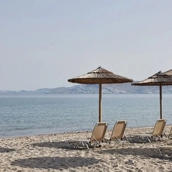 Atlantica Thalassa - zdjęcie 2