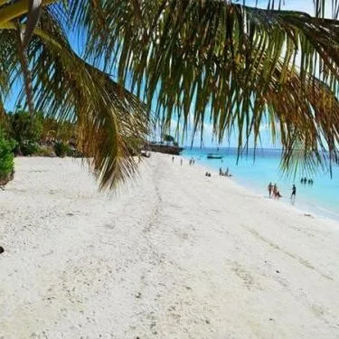 Palumbo Kendwa - zdjęcie 4