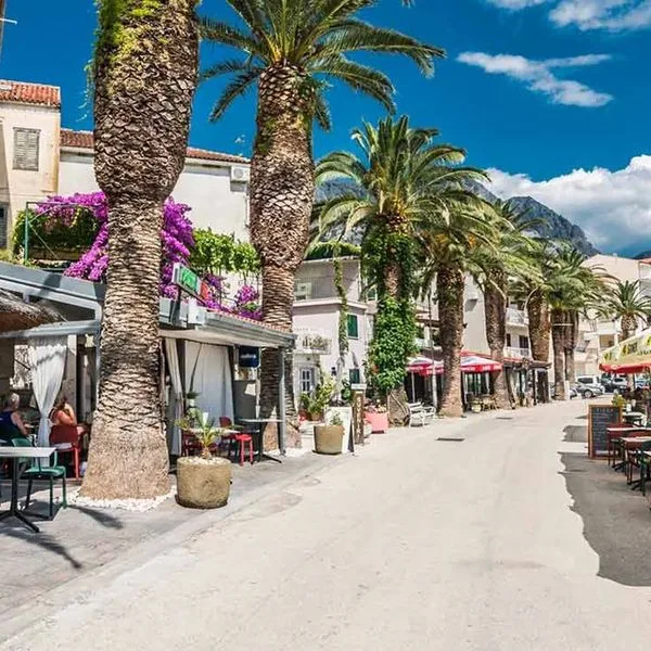 Gradac Hotel - zdjęcie 5