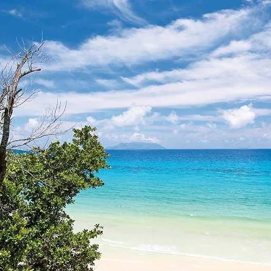 Savoy Resort - zdjęcie 3