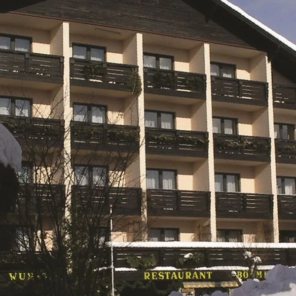 Bohmerwaldhof - zdjęcie 2