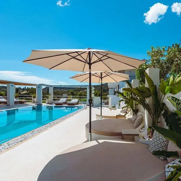 Ampelia - zdjęcie 3