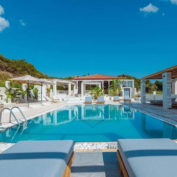 Ampelia - zdjęcie 2