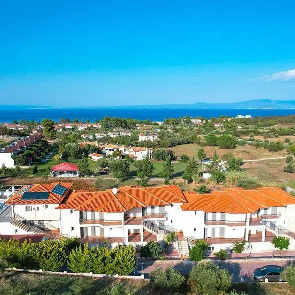 Ampelia - zdjęcie 4