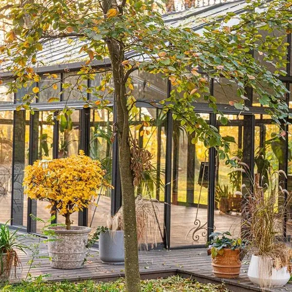 Pałac Zdunowo - zdjęcie 2