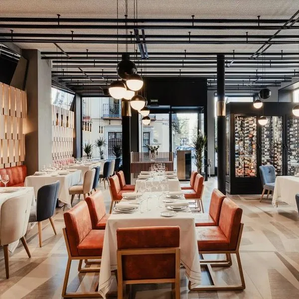 Vincci Seleccion Unuk - zdjęcie 3