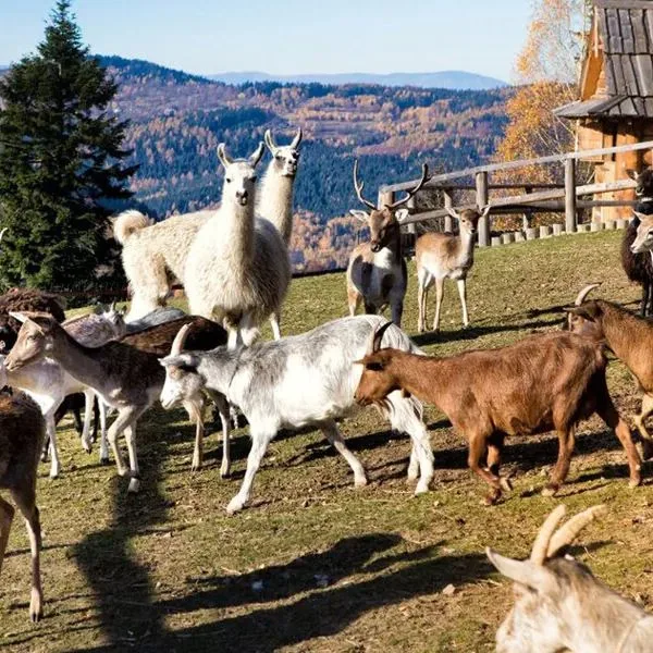 Beskidzki Raj - zdjęcie 2