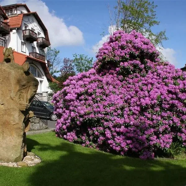 Park KUR & SPA Buczyński - zdjęcie 5