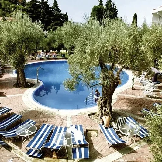 Vile Oliva - zdjęcie 5