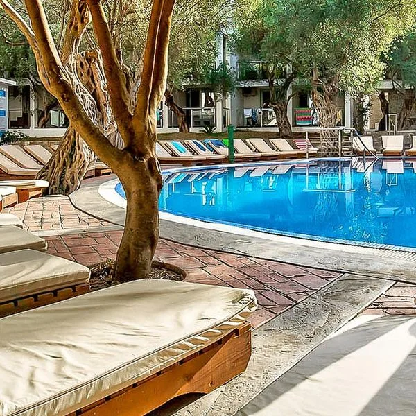 Vile Oliva - zdjęcie 3