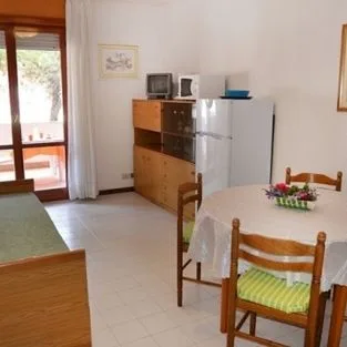 Cobita Perosa - zdjęcie 2