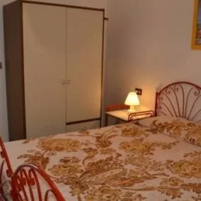 Cobita Perosa - zdjęcie 3