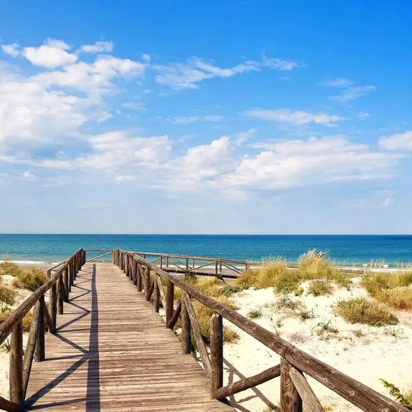 Sol Sancti Petri ( Melia ) - zdjęcie 5