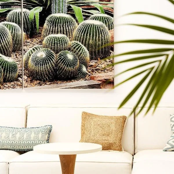 R2 Buganvilla (ex. Sentido Buganvilla) - zdjęcie 2