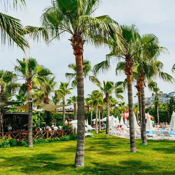 Aria Resort & SPA - zdjęcie 5