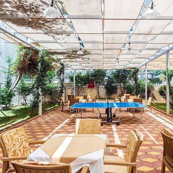 Lonicera City Kleopatra - zdjęcie 4