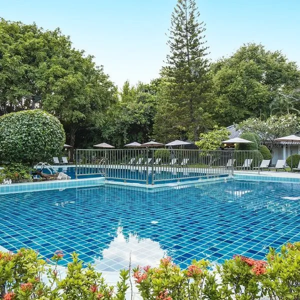 Sunshine Garden - zdjęcie 4