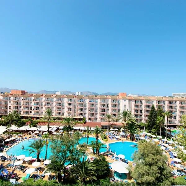 Viva Sunrise - zdjęcie 4