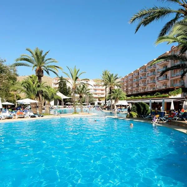 Viva Sunrise - zdjęcie 3