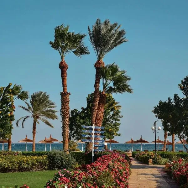 Nuweiba Club Resort (ex. Helnan Nuweiba Bay Resort) - zdjęcie 4