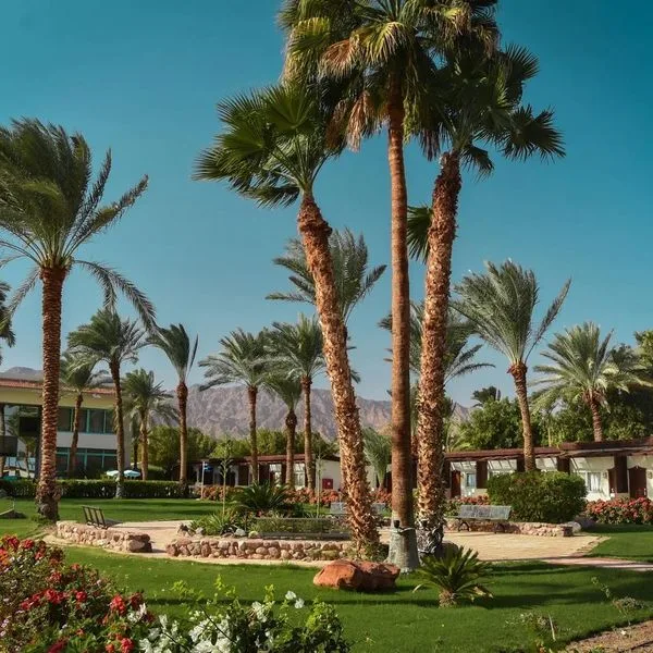 Nuweiba Club Resort (ex. Helnan Nuweiba Bay Resort) - zdjęcie 2