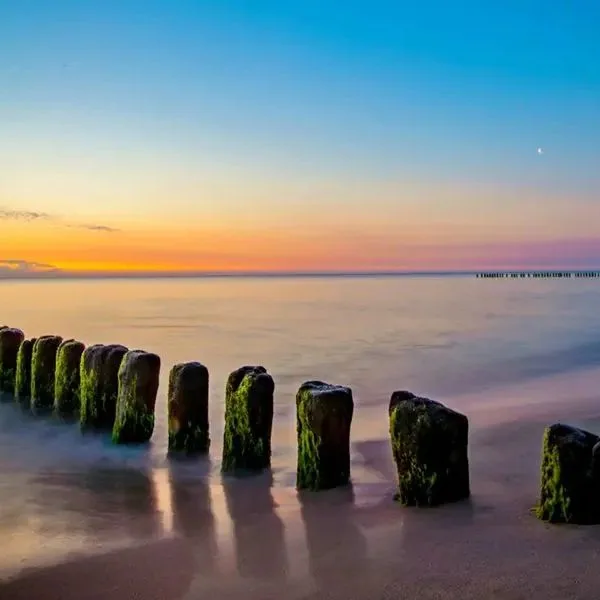 Alga Baltic Resort - zdjęcie 4