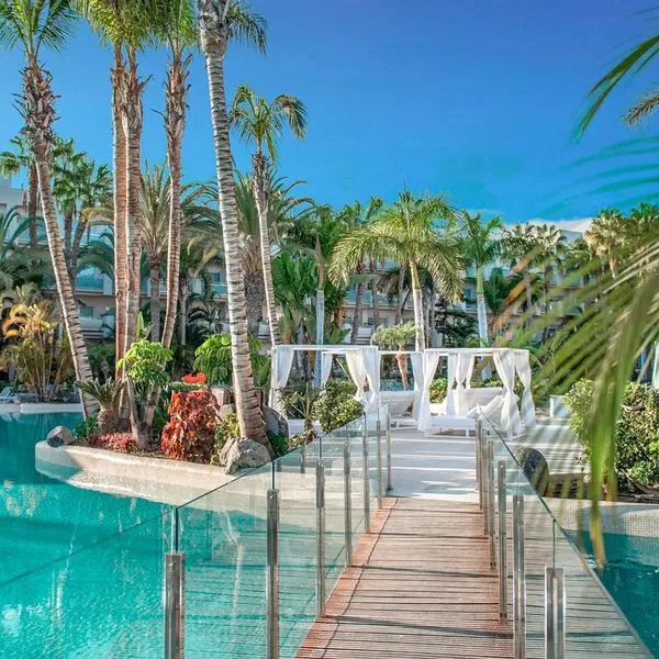 Tabaiba Princess - zdjęcie 4