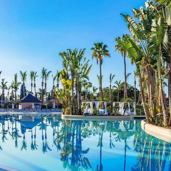 Tabaiba Princess - zdjęcie 2