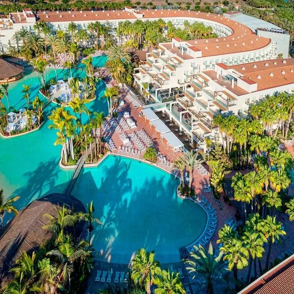 Tabaiba Princess - zdjęcie 3