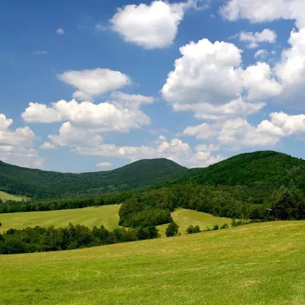 Końska Dolina - zdjęcie 5