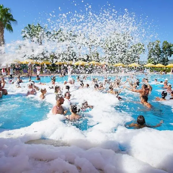 Perre Delta - zdjęcie 5